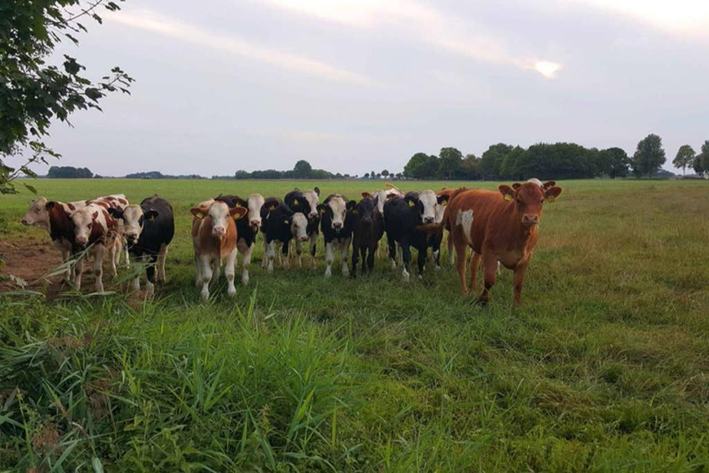 Klein-Tjuecher-Grashaus 4 Upgant-Schott Esterno foto